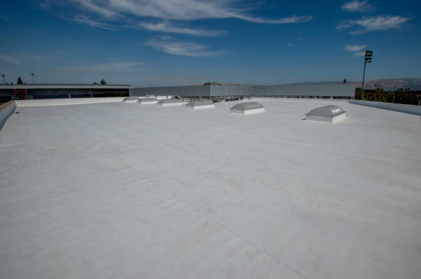 Best Rubber Roofing (EPDM, TPO)  in Ovid, MI