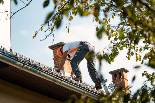 Best Metal Roofing Installation  in Ovid, MI