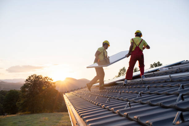 Best Sheet Metal Roofing  in Ovid, MI