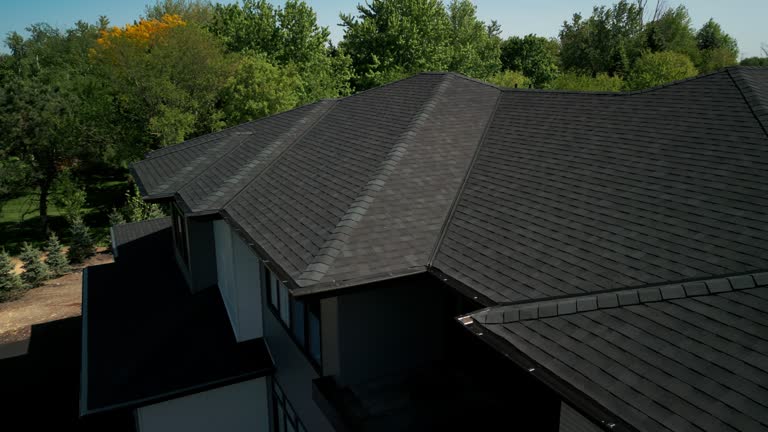 Best Skylight Installation and Repair  in Ovid, MI