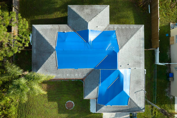 Best Roof Ventilation Installation  in Ovid, MI