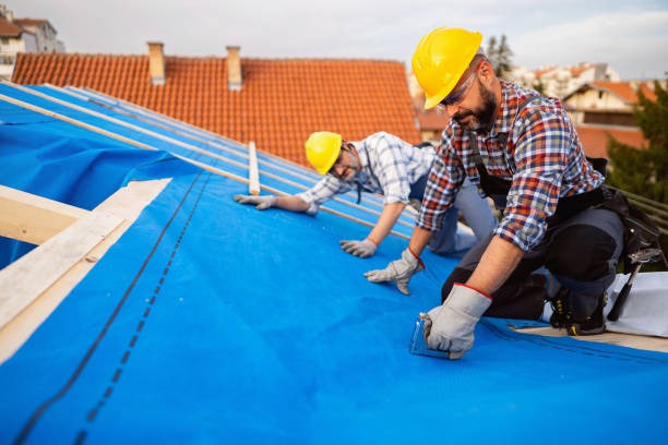 Best Emergency Roof Repair Services  in Ovid, MI