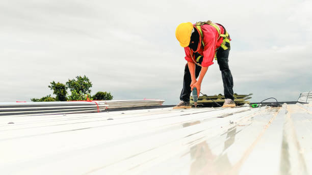 Fast & Reliable Emergency Roof Repairs in Ovid, MI