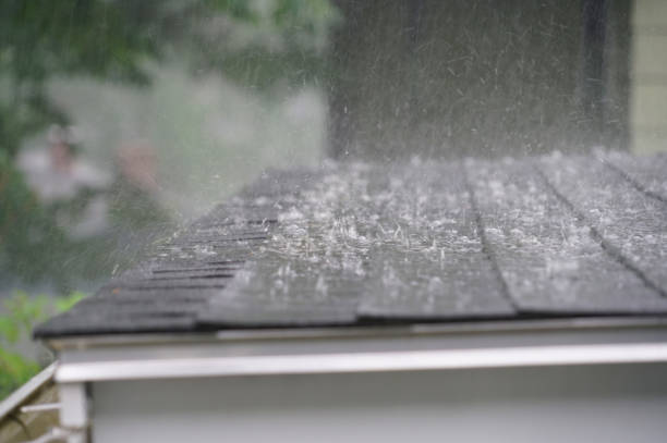 Best Roof Maintenance and Cleaning  in Ovid, MI