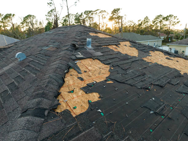 Best Rubber Roofing (EPDM, TPO)  in Ovid, MI