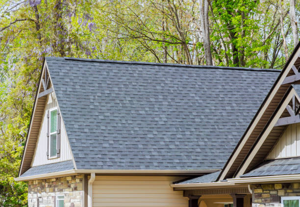 Best Skylights  in Ovid, MI