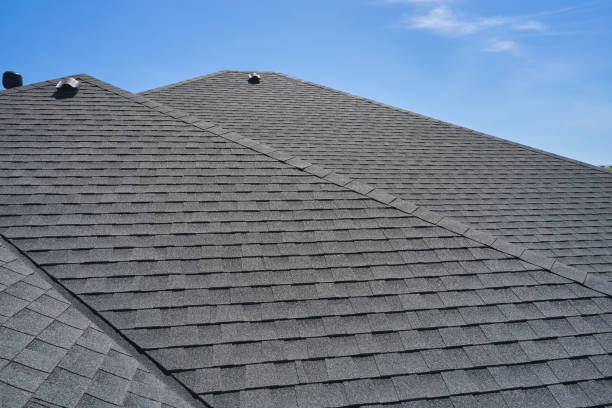 Best Asphalt Shingles Roofing  in Ovid, MI