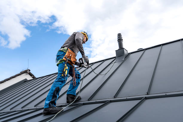 Best Roof Insulation Installation  in Ovid, MI